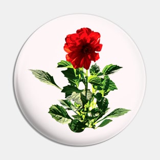Red Gerbera Daisy Pin