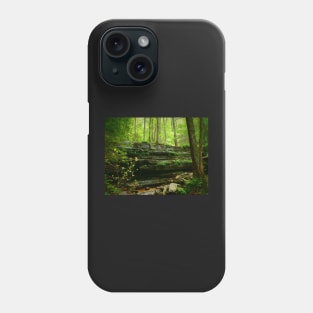 Little Waterfall Phone Case