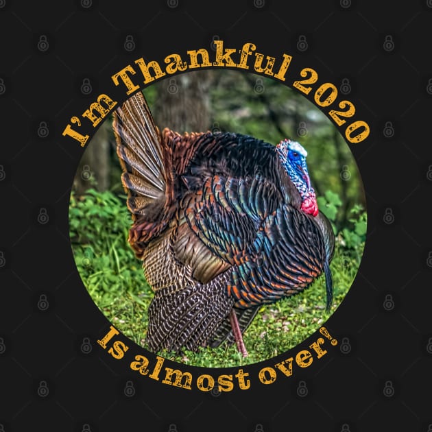 Thanksgiving 2020 Thankful this year is almost over by SteveKight