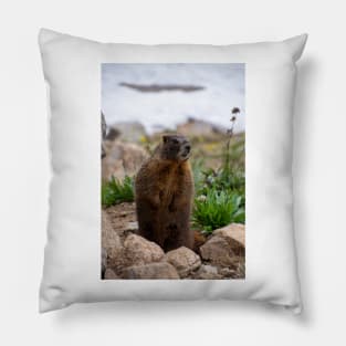 Standing Marmot 2 Pillow