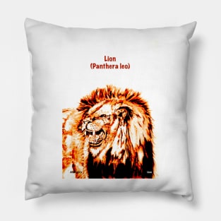 Lion (Panthera leo) Pillow