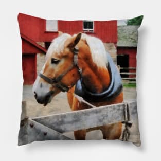 Horses - Palomino By Red Barn Pillow