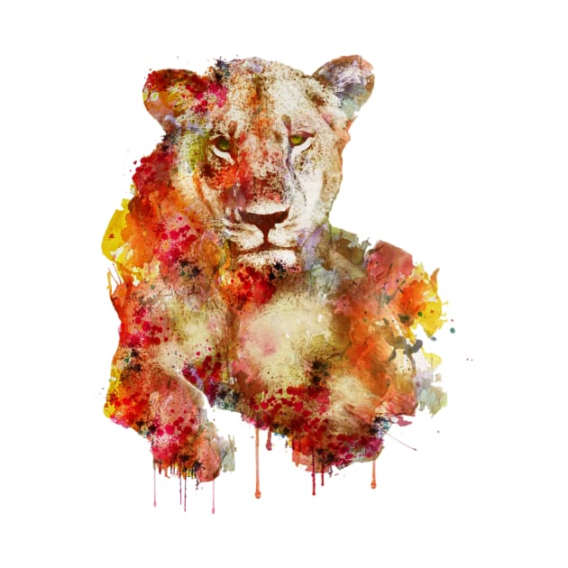 Resting Lioness in watercolor by Marian Voicu