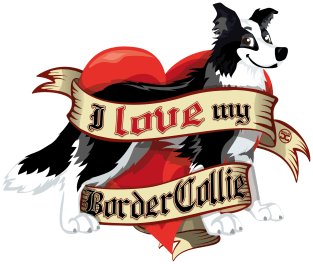 I Love My Border Collie - B&W Magnet