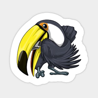 Toucan Musician Harmonica Music Magnet