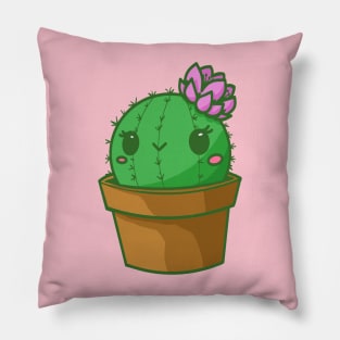 Cactus Isabella Pillow