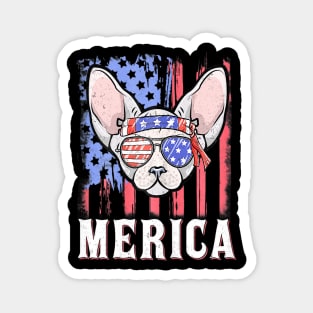 Merica Sphynx Cat American Flag Sunglasses Patriotic Magnet