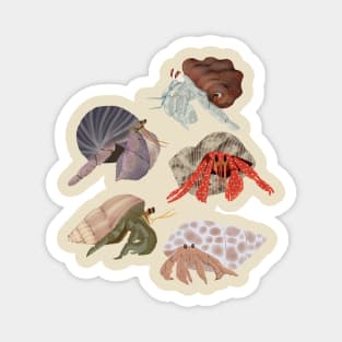 Hermit Crabs Magnet