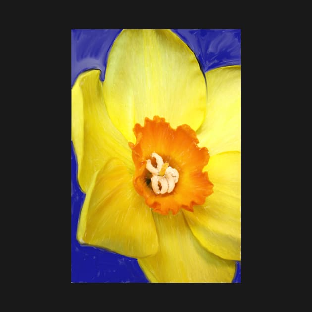 Daffodil by Colin-Bentham