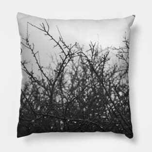 Life is thorny, but beautiful Pillow