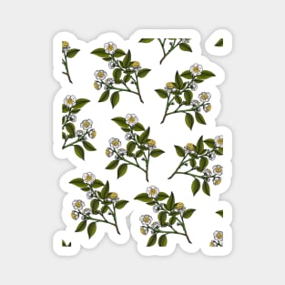 camellia sinensis Magnet