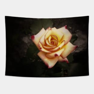 Peach and Pink Rose Tapestry