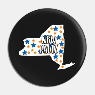 New Paltz Pin