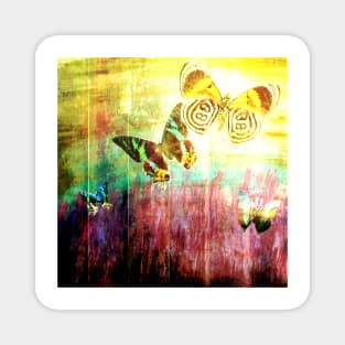 Butterflies on Wooden Fence - Red Tones Magnet