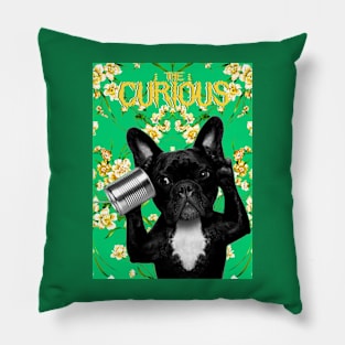 The Curious Pillow