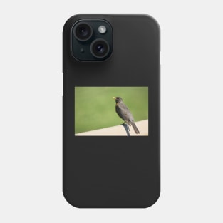 Robin Of Raymore Phone Case