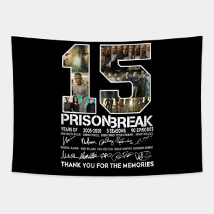 15 Years Of Prison Break 2005 2020 Tapestry