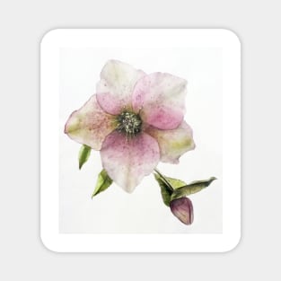 Flower in Watercolour Magnet