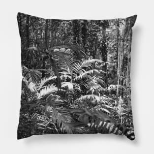 vintage photo of amazon rainforest Pillow