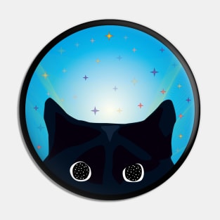 gato viendo las estrellas Pin