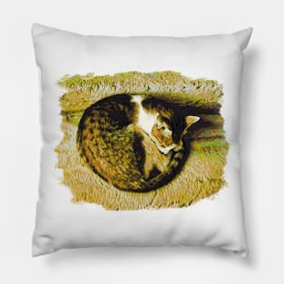 Sleepy Cat Watercolor Expressionism Pillow