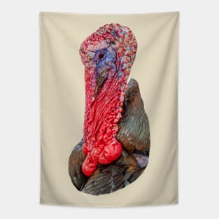 Turkey Gobbler Tapestry