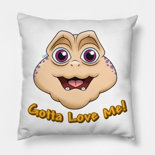 Baby Gotta Love Me! Pillow