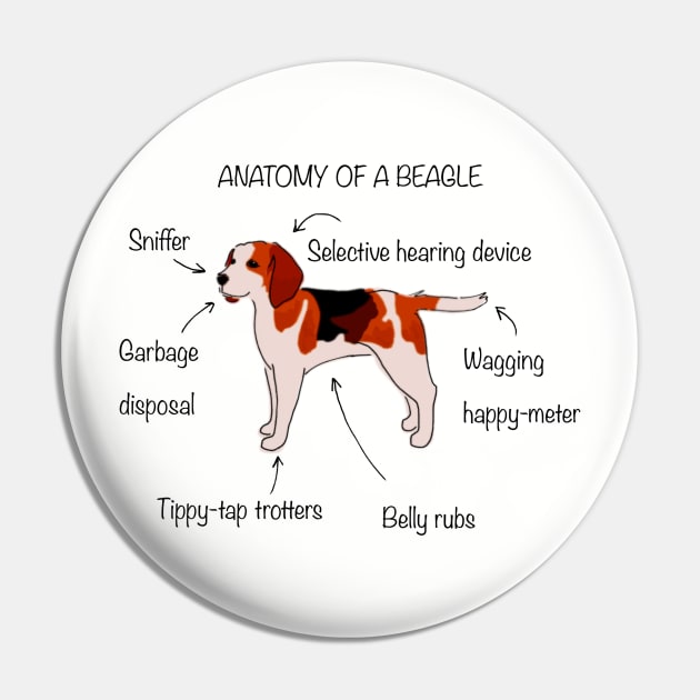 Anatomy of a beagle Pin by bumblebeebuiscut