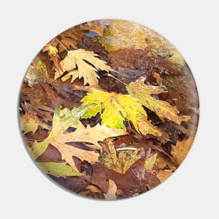 Fallen leaves floating in the river, 3, (Set of 3), fall, autumn, xmas, holiday, nature, forest, trees, winter, color, flowers, orange, art, botanical, leaves, leaf, floral, wet, rain, water, holidays, digital, spring, aqua, graphic-design, christmas Pin