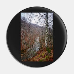 River in the mountains Pin