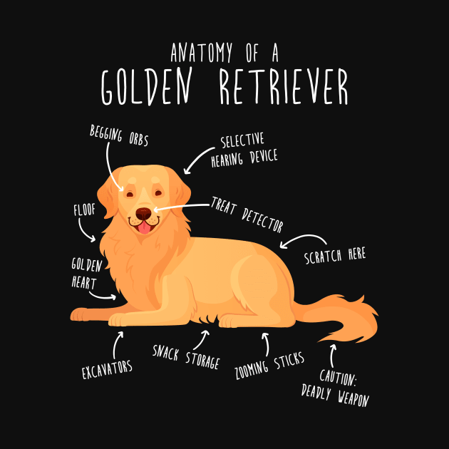 Anatomy of a Golden Retriever by Psitta