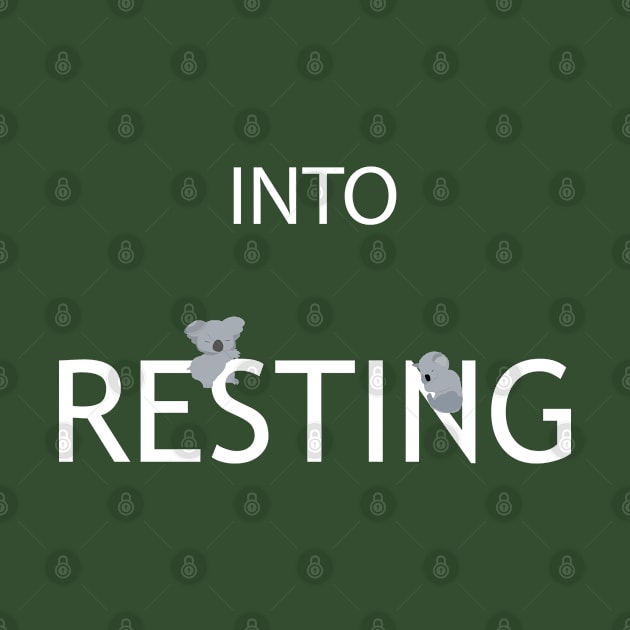 into resting koala by tita