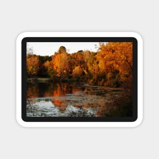 Fall Trees Lake Landscape Magnet