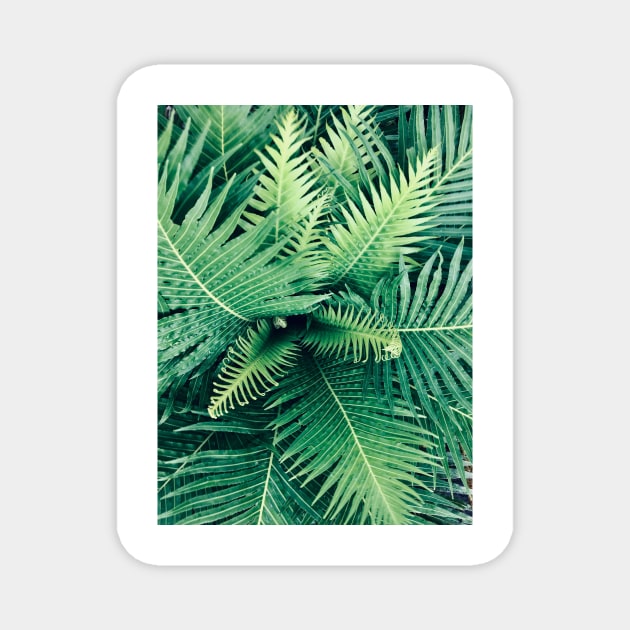 Linear green leaf plant Magnet by mydesignontrack