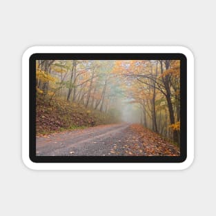 Misty Autumn Forest Road Magnet