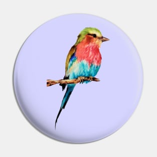 Lonely Colorful Bird On A Branch Pin