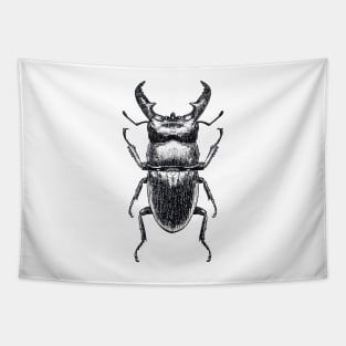 Stag Beetle drawing Tapestry