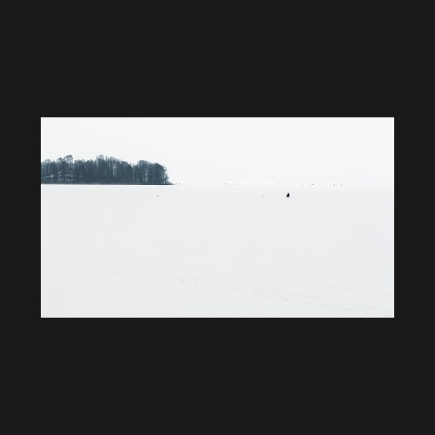 Winter fishing on iced lake by lena-maximova