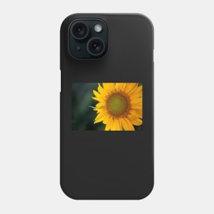 Sunshine Phone Case