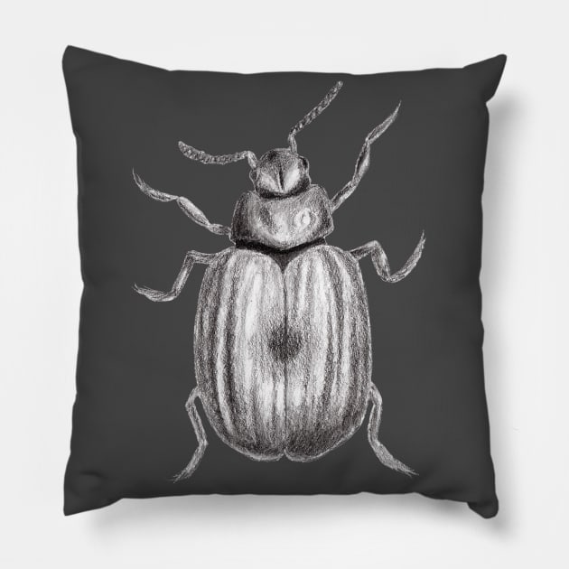 Realistic Beetle Bug Pencil Drawing Pillow by IvyLilyArt