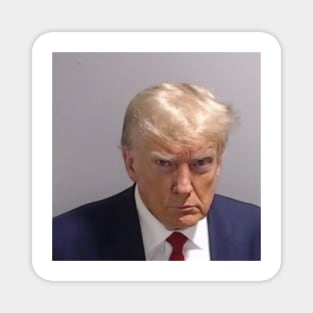 Trump Mugshot Magnet