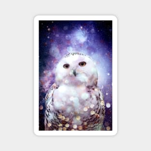 owl galaxy Magnet