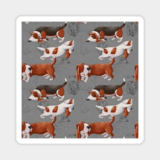 Funny Basset Hound. Drawn dog. Magnet