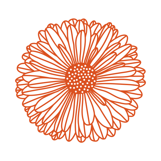 Gerbera Daisy by NicSquirrell