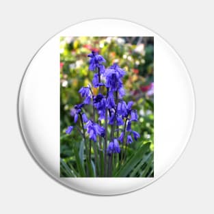 Spanish Bluebells Pin