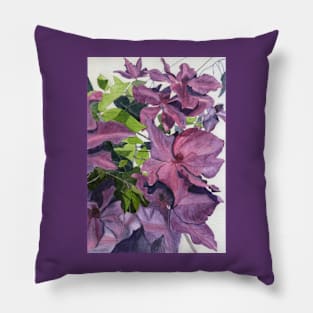 Purple pink clematis watercolour painting Pillow