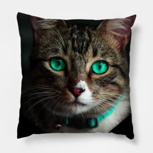 cat shirt Pillow