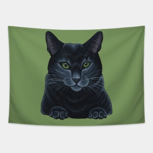 Black Cat Tapestry