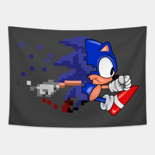 SONIC EVOLUTION Tapestry