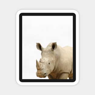 Rhinoceros print, African Safari, Nursery decor, Animal, Kids room, Modern Wall Magnet